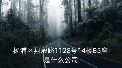 楊浦區翔殷路1128號14樓B5座是什么公司