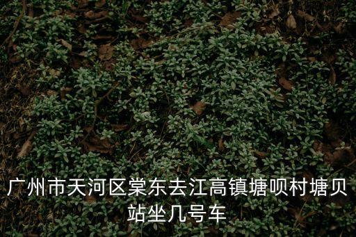 廣州市天河區(qū)棠東去江高鎮(zhèn)塘唄村塘貝站坐幾號車