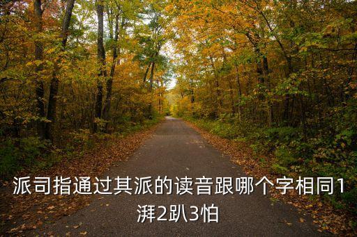 派司指通過其派的讀音跟哪個字相同1湃2趴3怕