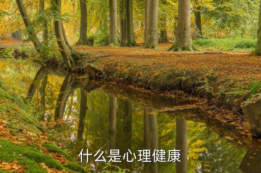 什么是心理健康