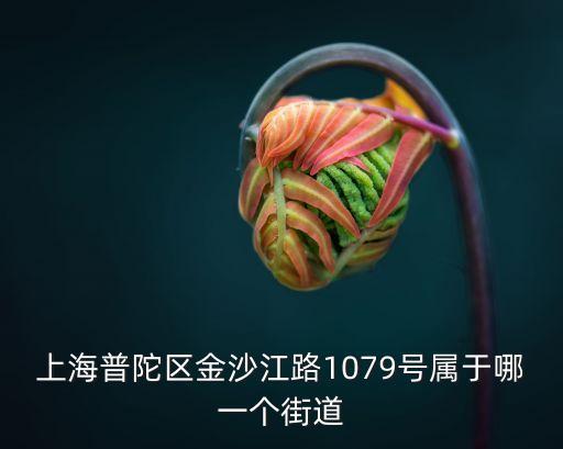 上海市普陀區長風街道新渡口，普陀區大渡河路1550弄屬于哪里那個鎮