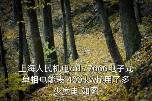上海人民機電dds 7666電子式單相電能表 400 kwh 用了多少度電 如圖