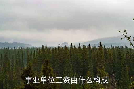 事業(yè)單位工資由什么構(gòu)成