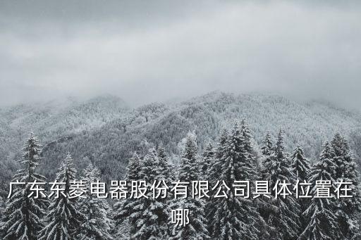 廣州市東菱電子有限公司，廣東東菱電器股份有限公司具體位置在哪