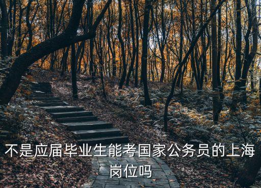 上海市考非應屆生能報么，外省非應屆本科畢業生可以參加上海市公務員考試嗎已辦理人才引
