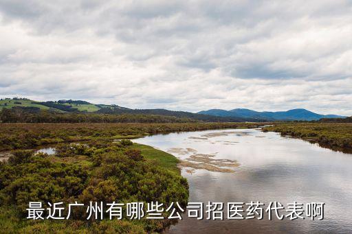 最近廣州有哪些公司招醫藥代表啊