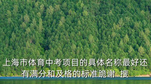 上海市體育中考項目的具體名稱最好還有滿分和及格的標(biāo)準(zhǔn)跪謝  搜
