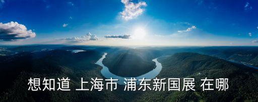 上海市蓮溪路1099，想知道 上海市 浦東新國展 在哪