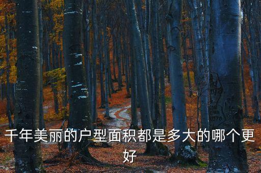 千年美麗的戶型面積都是多大的哪個更好
