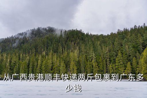 貴港到廣州西江運價，今天貴港到廣州車費多少