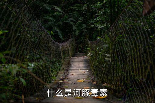 什么是河豚毒素