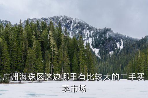 廣州海珠區(qū)這邊哪里有比較大的二手買賣市場(chǎng)