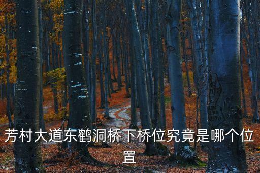 芳村大道東鶴洞橋下橋位究竟是哪個位置