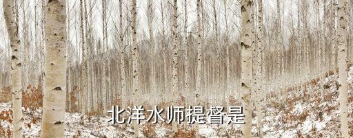 北洋水師提督是