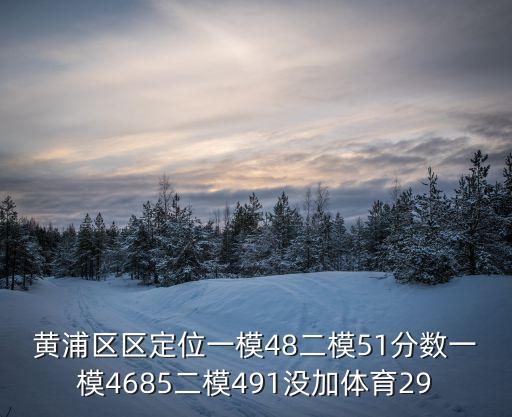 上海市2021黃浦區物理二模，黃浦區區定位一模48二模51分數一模4685二模491沒加體育29