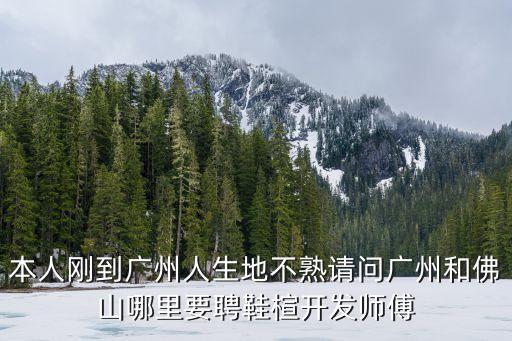 廣州鞋廠板師招聘，本人剛到廣州人生地不熟請問廣州和佛山哪里要聘鞋楦開發(fā)師傅