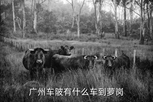 廣州蘿崗怎么去車陂好又多，廣州車陂有什么車到蘿崗