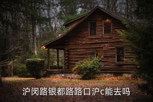 滬閔路銀都路路口滬c能去嗎