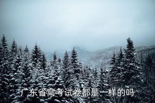 廣東省高考試卷都是一樣的嗎
