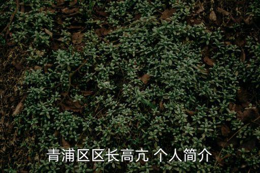 上海市區委書記區長山東人，青浦區區長高亢 個人簡介