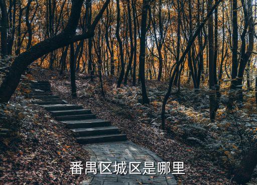 番禺區城區是哪里
