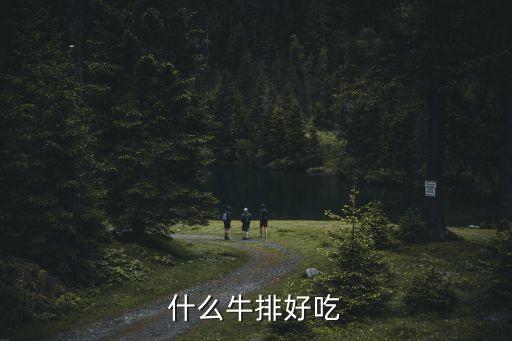 什么牛排好吃，什么牛排好吃啊