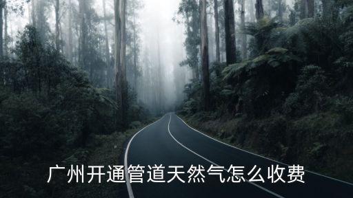 廣州裝天然氣價格，廣州開通管道天然氣怎么收費