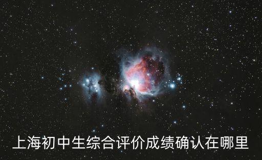 上海初中生綜合評價成績確認在哪里