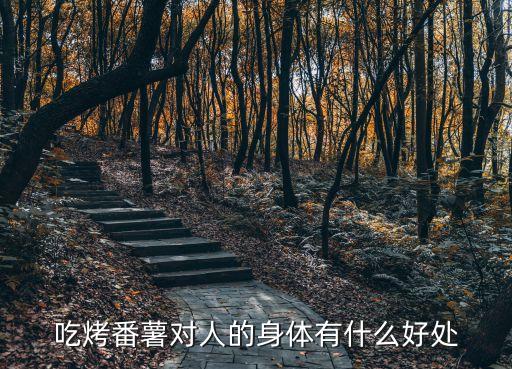 烤紅薯的功效與作用，吃烤番薯對人的身體有什么好處
