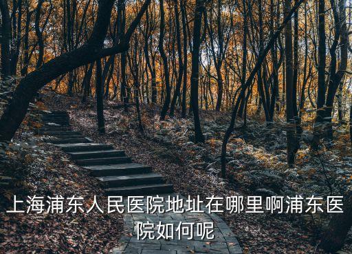上海浦東人民醫院地址在哪里啊浦東醫院如何呢