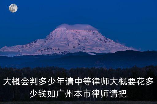 大概會判多少年請中等律師大概要花多少錢如廣州本市律師請把