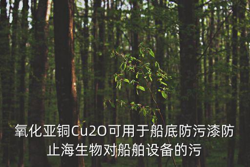 氧化亞銅Cu2O可用于船底防污漆防止海生物對(duì)船舶設(shè)備的污