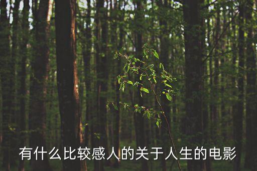 有什么比較感人的關于人生的電影