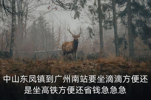 東鳳到廣州南站，中山東鳳鎮到廣州南站要坐滴滴方便還是坐高鐵方便還省錢急急急