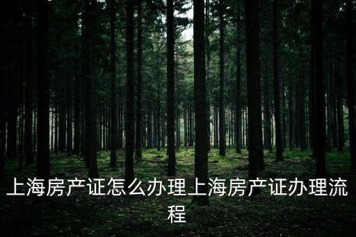 上海房產證怎么辦理上海房產證辦理流程