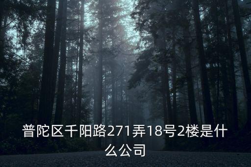 普陀區千陽路271弄18號2樓是什么公司