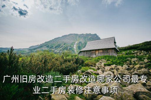廣州舊房改造二手房改造哪家公司最專(zhuān)業(yè)二手房裝修注意事項(xiàng)