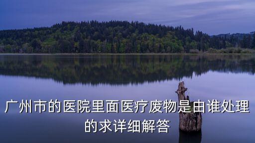 廣州市的醫院里面醫療廢物是由誰處理的求詳細解答
