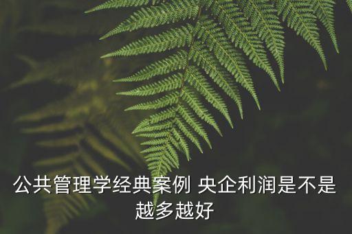 公共管理案例分析，公共管理學經典案例 央企利潤是不是越多越好