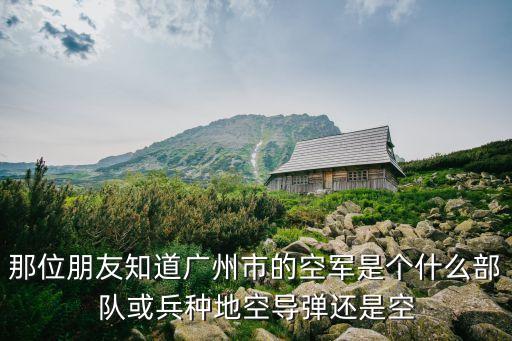 廣州空軍是什么軍種，那位朋友知道廣州市的空軍是個什么部隊或兵種地空導彈還是空