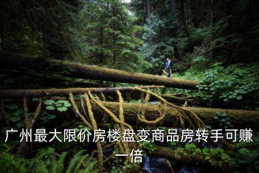 廣州化龍璞悅里房產(chǎn)，02086832288現(xiàn)為花都某樓盤的售樓電話請(qǐng)刪除該條過期信息以