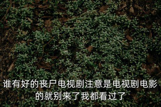 誰有好的喪尸電視劇注意是電視劇電影的就別來了我都看過了