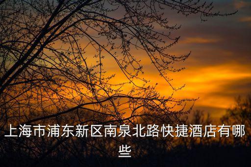 上海市浦東新區南泉北路快捷酒店有哪些