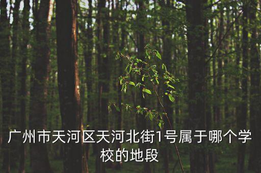 廣州市天河區天河北街1號屬于哪個學校的地段