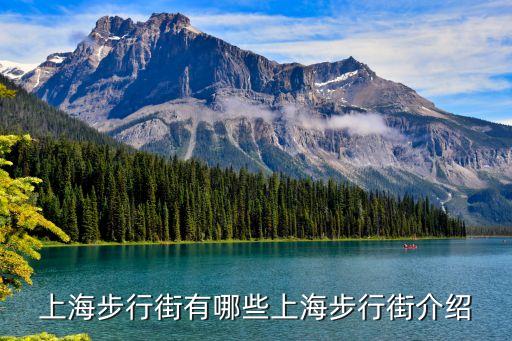 上海市步行街，上海地下商場步行街有哪些
