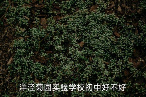 洋涇菊園實驗學校初中好不好