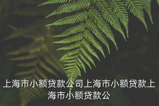 上海市小額貸款公司上海市小額貸款上海市小額貸款公