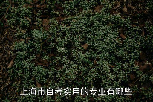 上海市2017自考專業，上海大學自考專業有哪些
