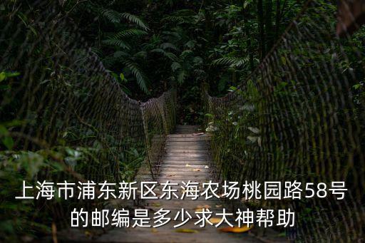 上海市東海農場郵編是多少，上海市浦東新區東海農場桃園路58號的郵編是多少求大神幫助