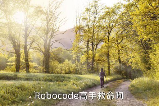 Robocode高手救命阿